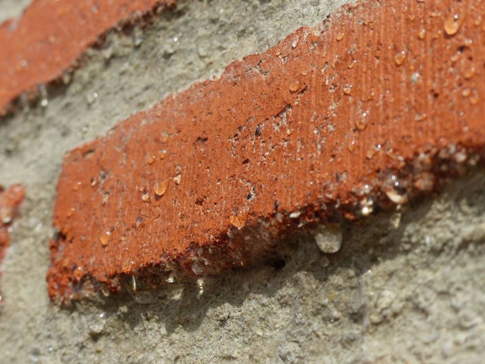Close-up of a reddish brick edge with small white specks on rough gray mortar