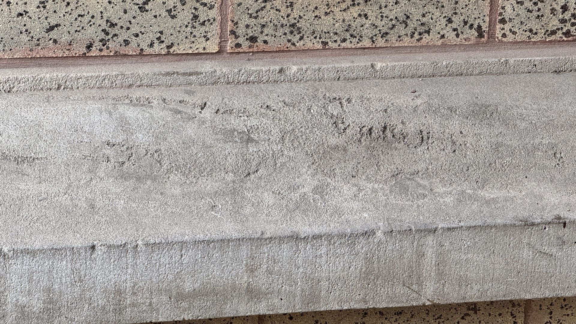 Close-up of a weathered concrete ledge with a textured beige and gray surface.