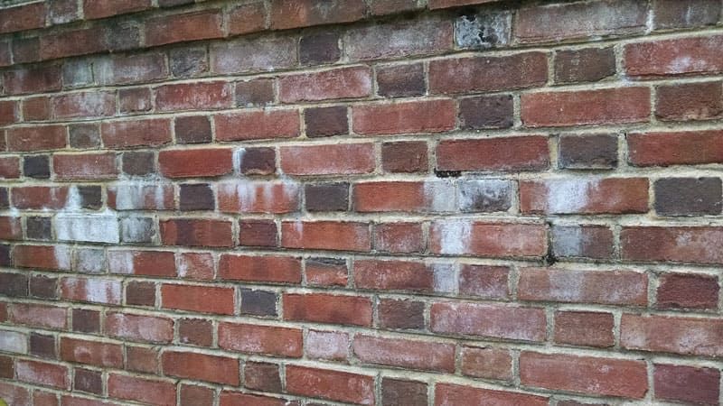 A weathered red brick wall with visible white salt efflorescence staining the surface of the bricks and mortar.