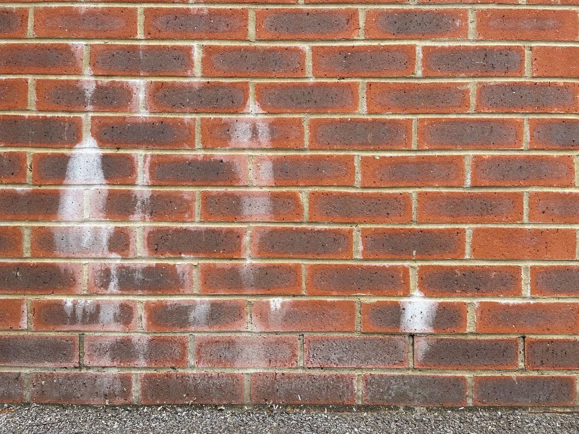 Efflorescence on a brick wall showing white salt deposits caused by moisture movement.