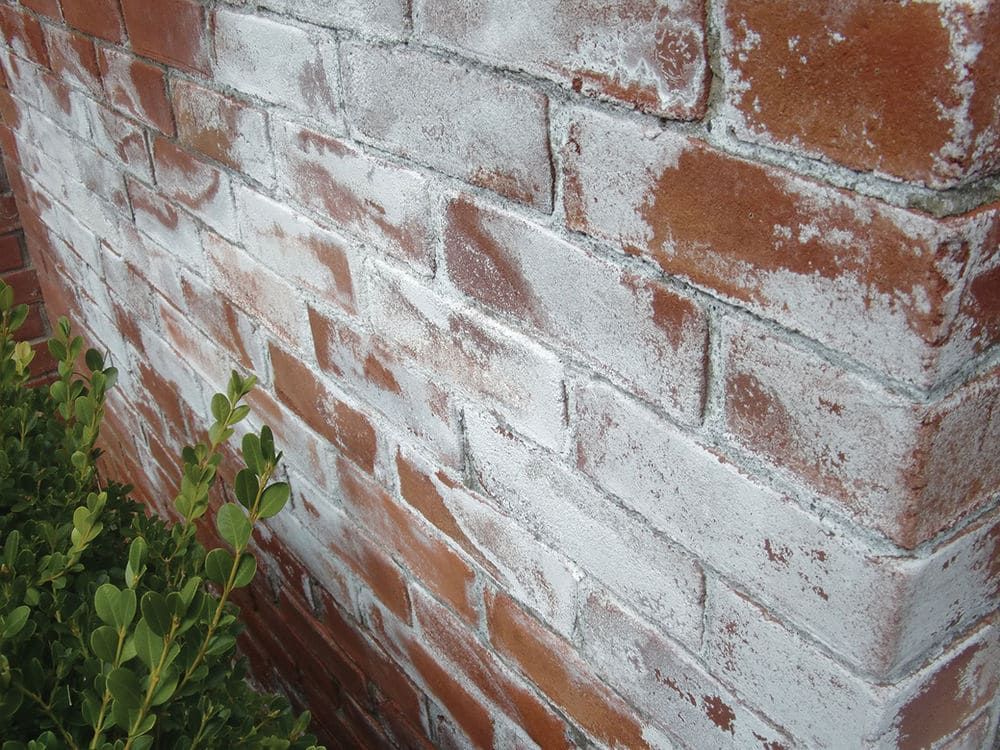 Weathered red brick wall with white mortar stains and green weeds at the base