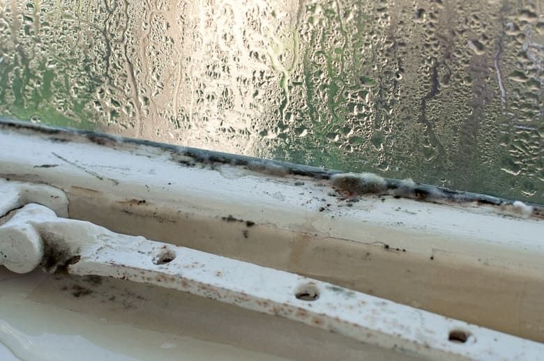 Moldy windowsill with peeling white paint and condensation on the glass