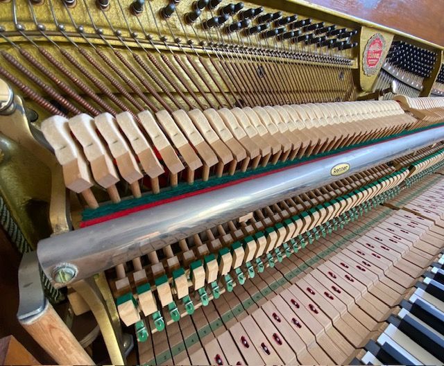 Close-up of piano  action with hammers, strings, and keys visible.