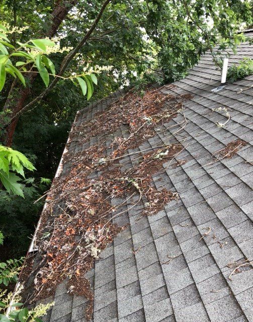 Roof Cleaning