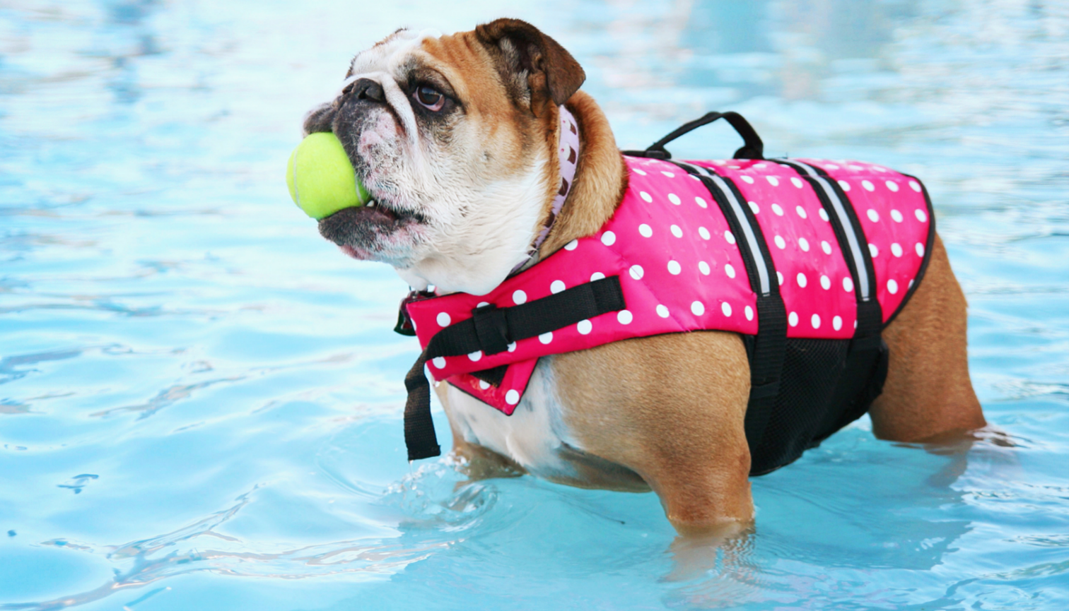 Pool Builders in Leawood