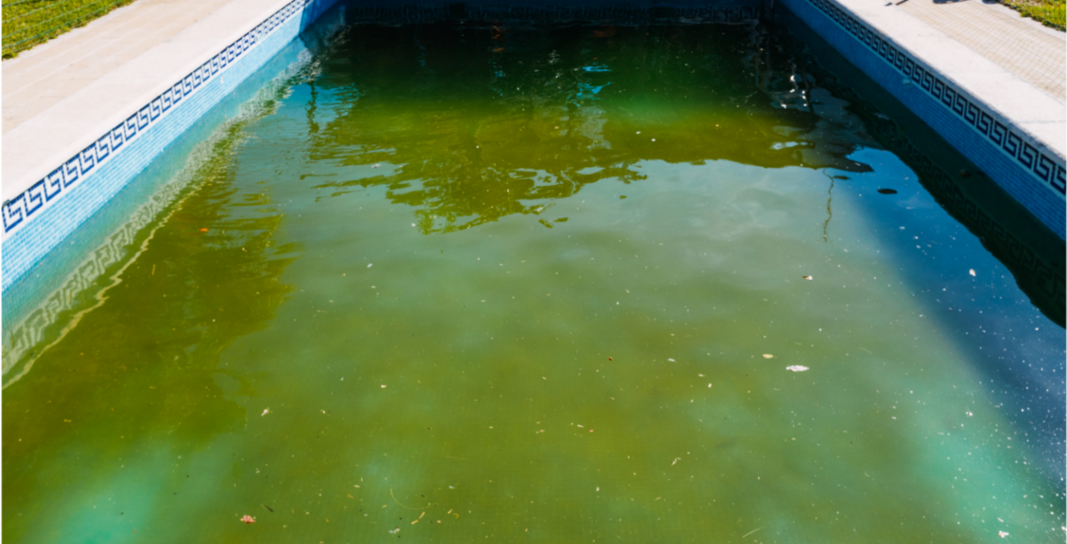 Residential Pool Services in Overland Park