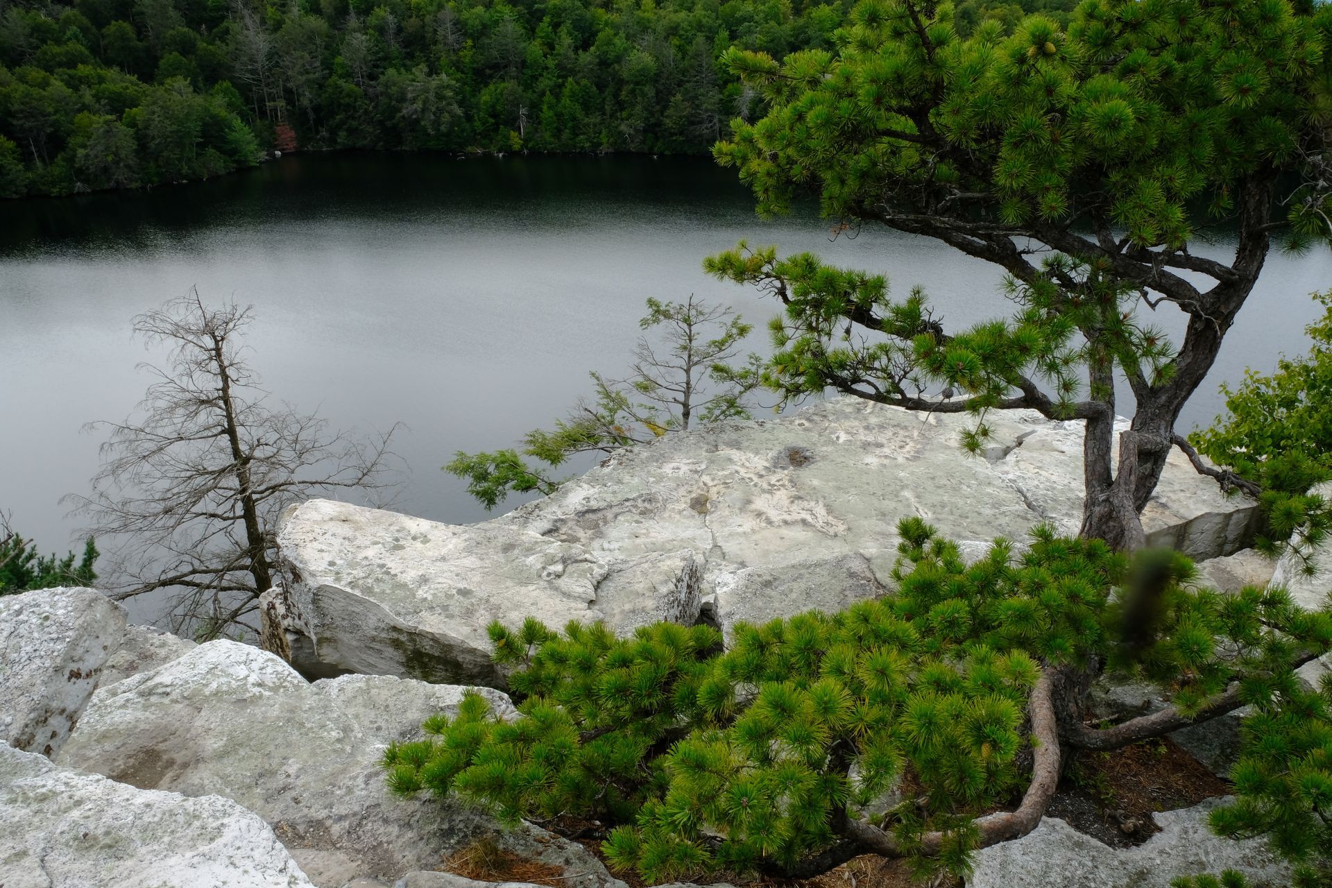 Rocky shoreline with green trees beside a calm lake or river
