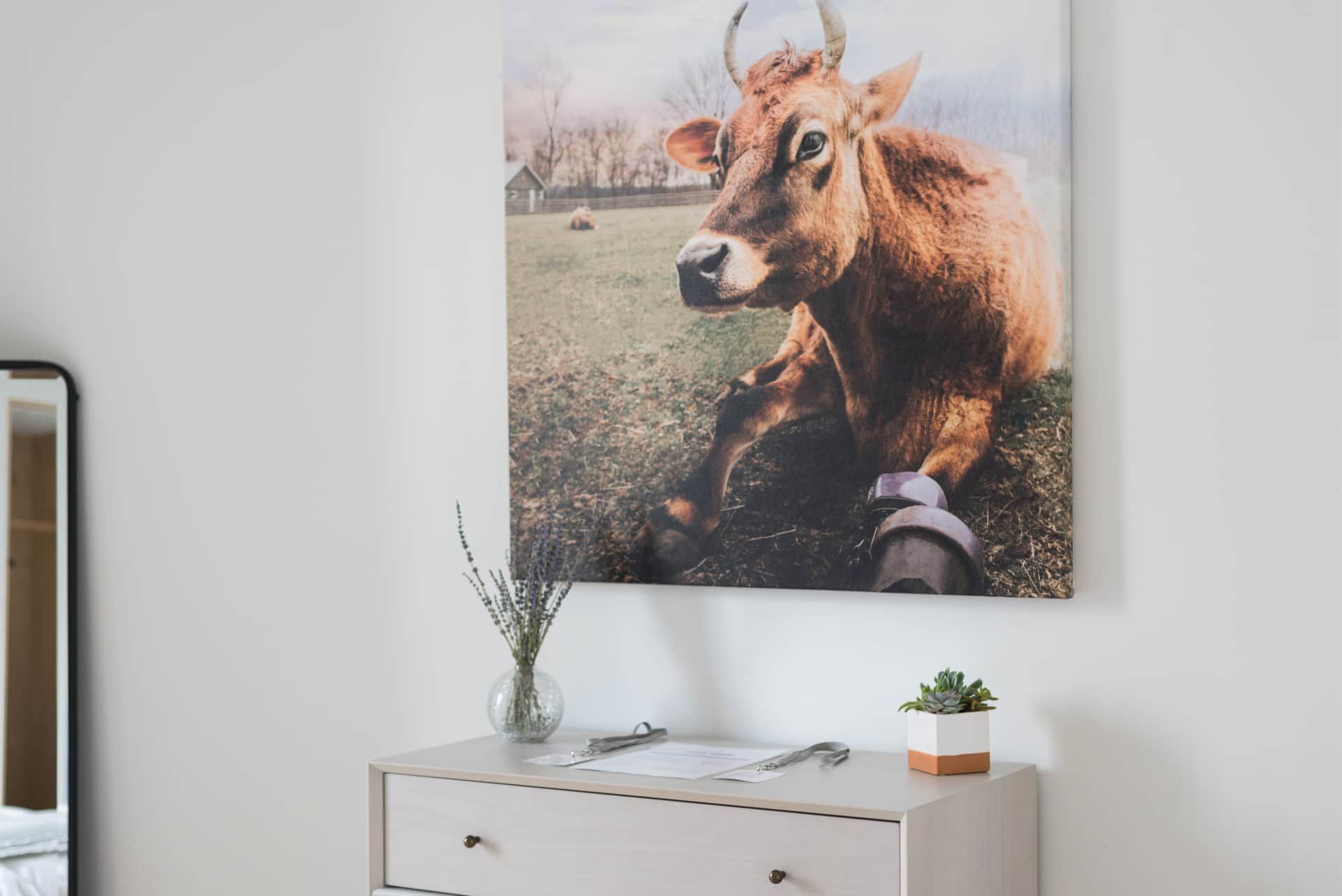 Cow portrait on a white wall above a dresser with a vase and small plant