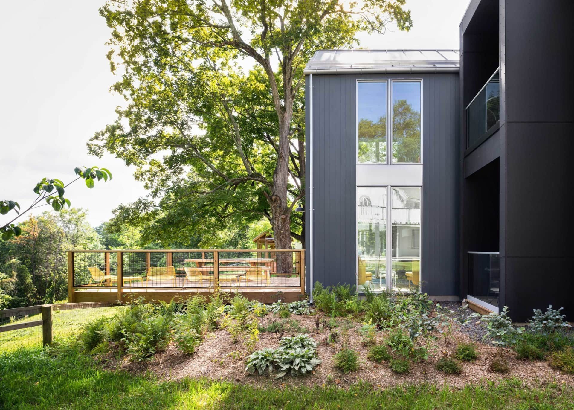Modern house exterior with large windows, deck, and landscaped garden beside a tall tree