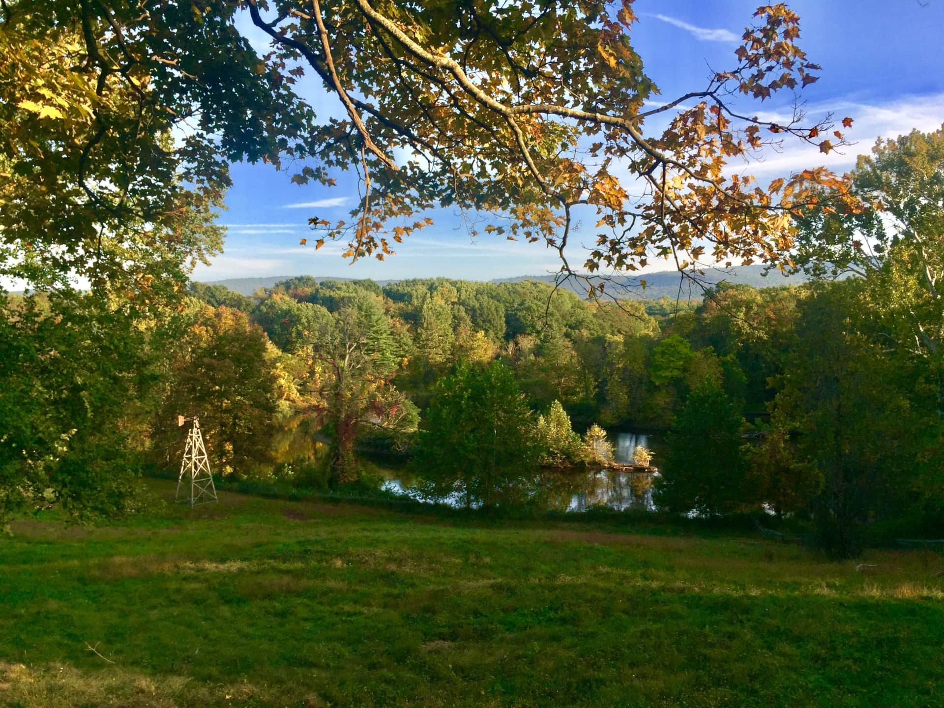 Sunny wooded landscape with green field, autumn trees, and blue sky over distant hills