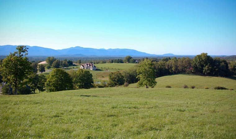 Green grassy hillside with trees, a small village, and blue mountains under a clear sky.