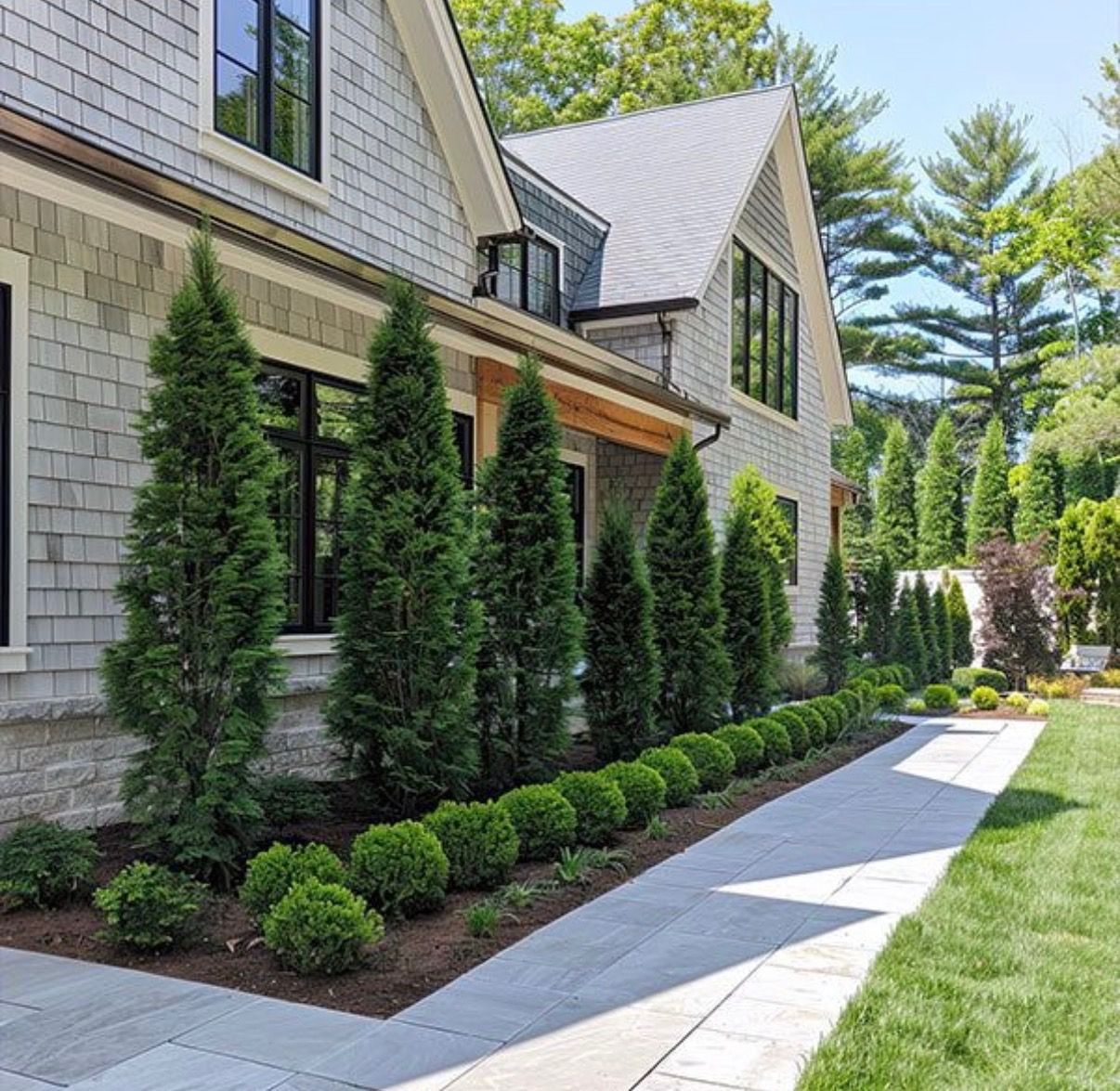 Landscaped house exterior with tall evergreens, trimmed shrubs, and a stone walkway along the side.