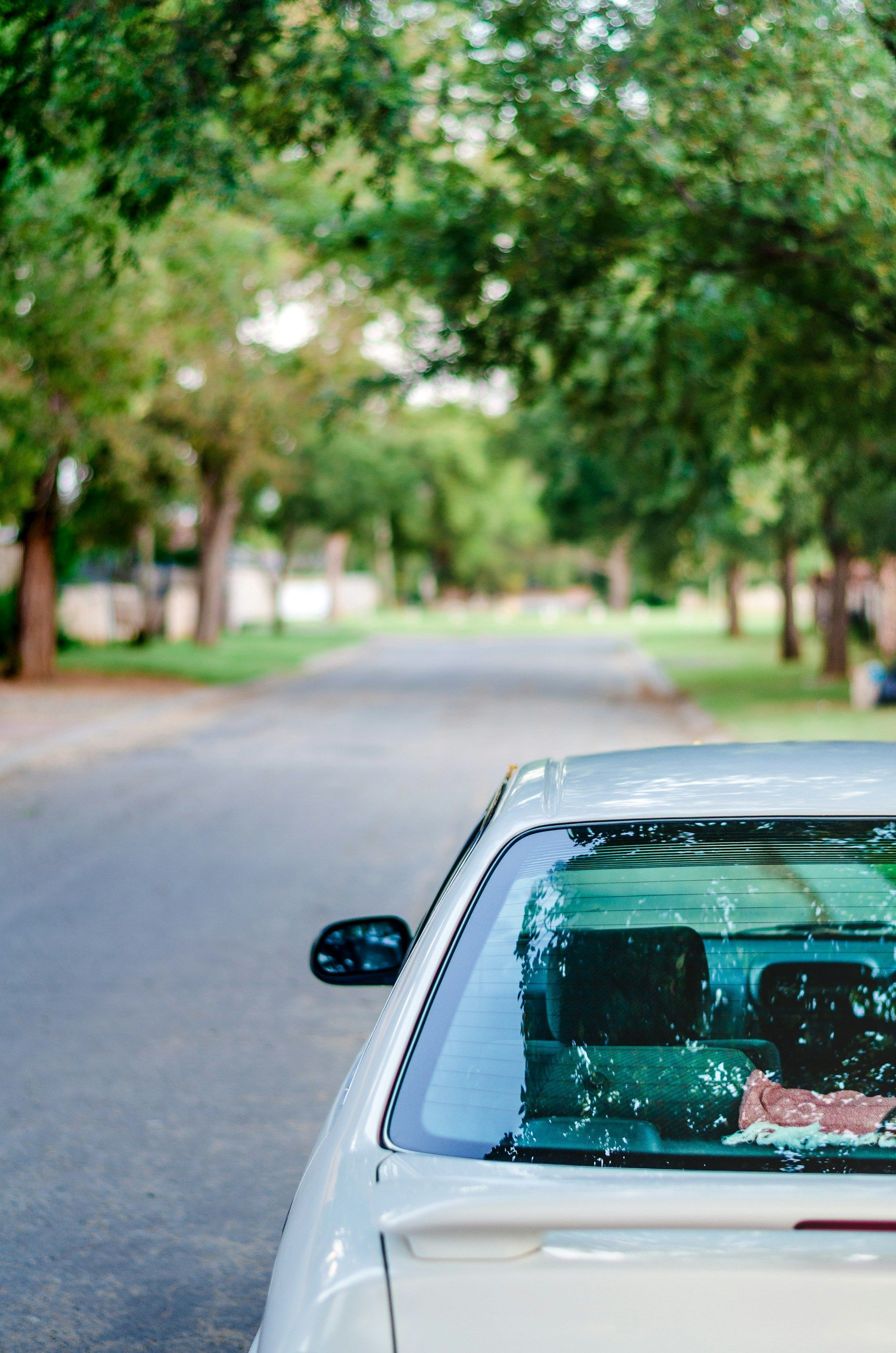 White car parked on a tree-lined street; rear window and trees are visible, sunny day.