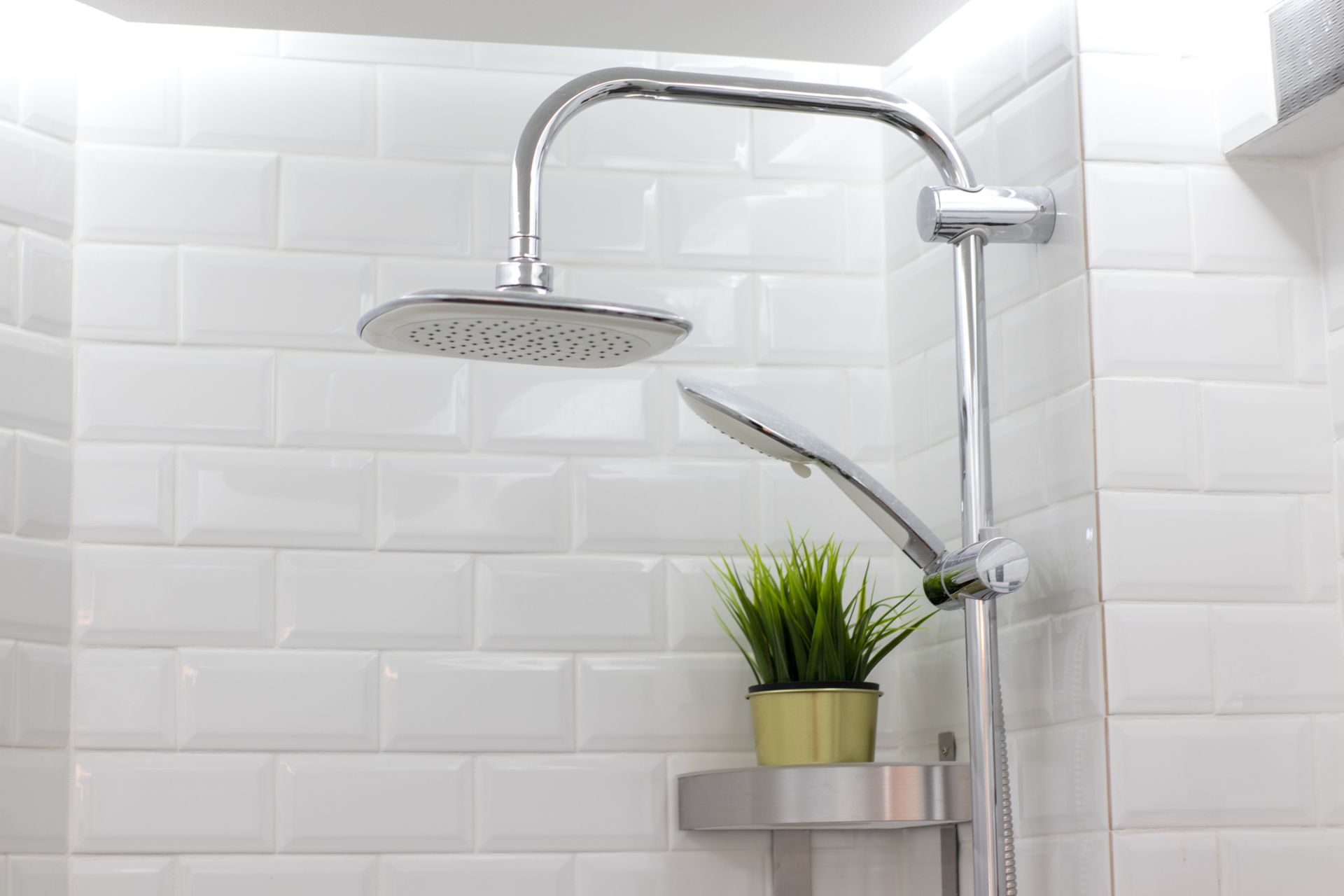 Une salle de bain avec une pomme de douche et une plante sur une étagère.