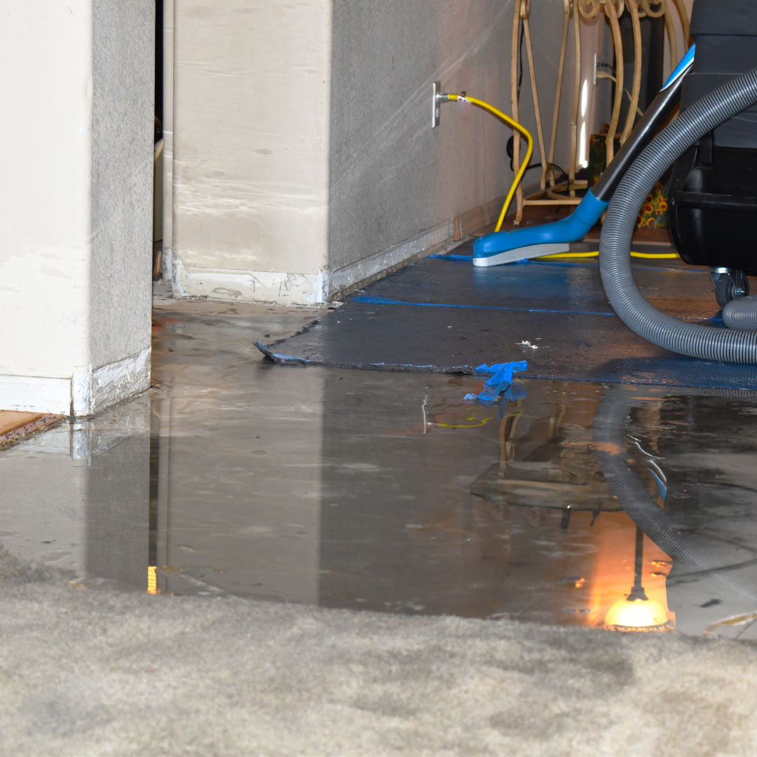 A close up of a wooden floor with a person standing on it.