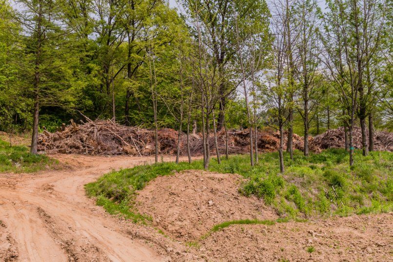 A Dirt Road Going Through a Forest With a Pile of Logs in the Background — Hinterland Tree & Stump Removal in Glass House Mountains, QLD