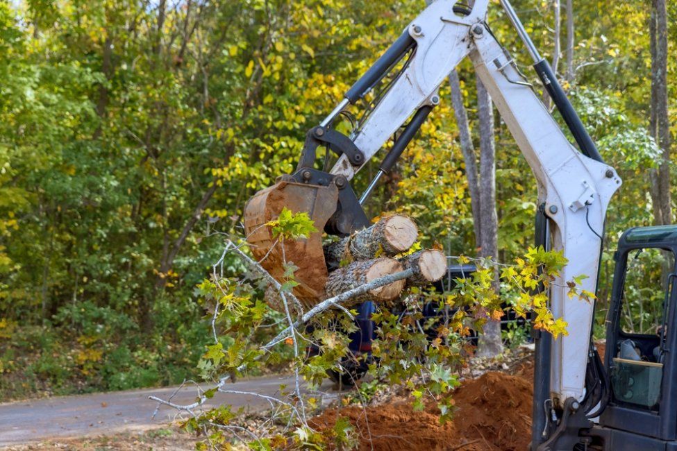 A White Excavator Is Carrying a Pile of Logs in Its Bucket — Hinterland Tree & Stump Removal in Buderim, QLD