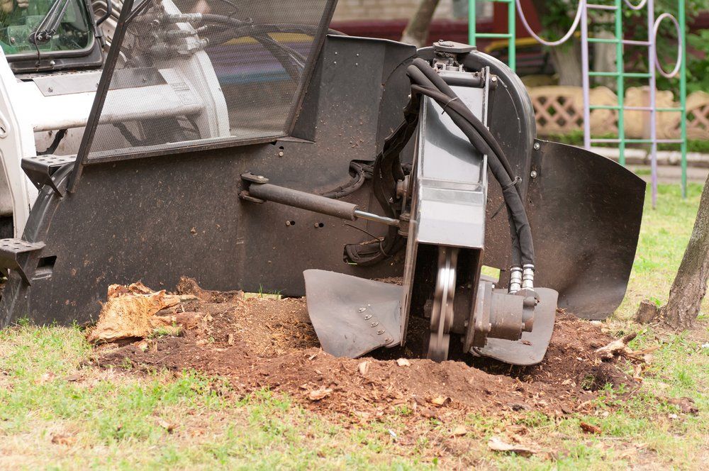 A Machine Is Cutting a Tree Stump in The Ground — Hinterland Tree & Stump Removal in Montville, QLD