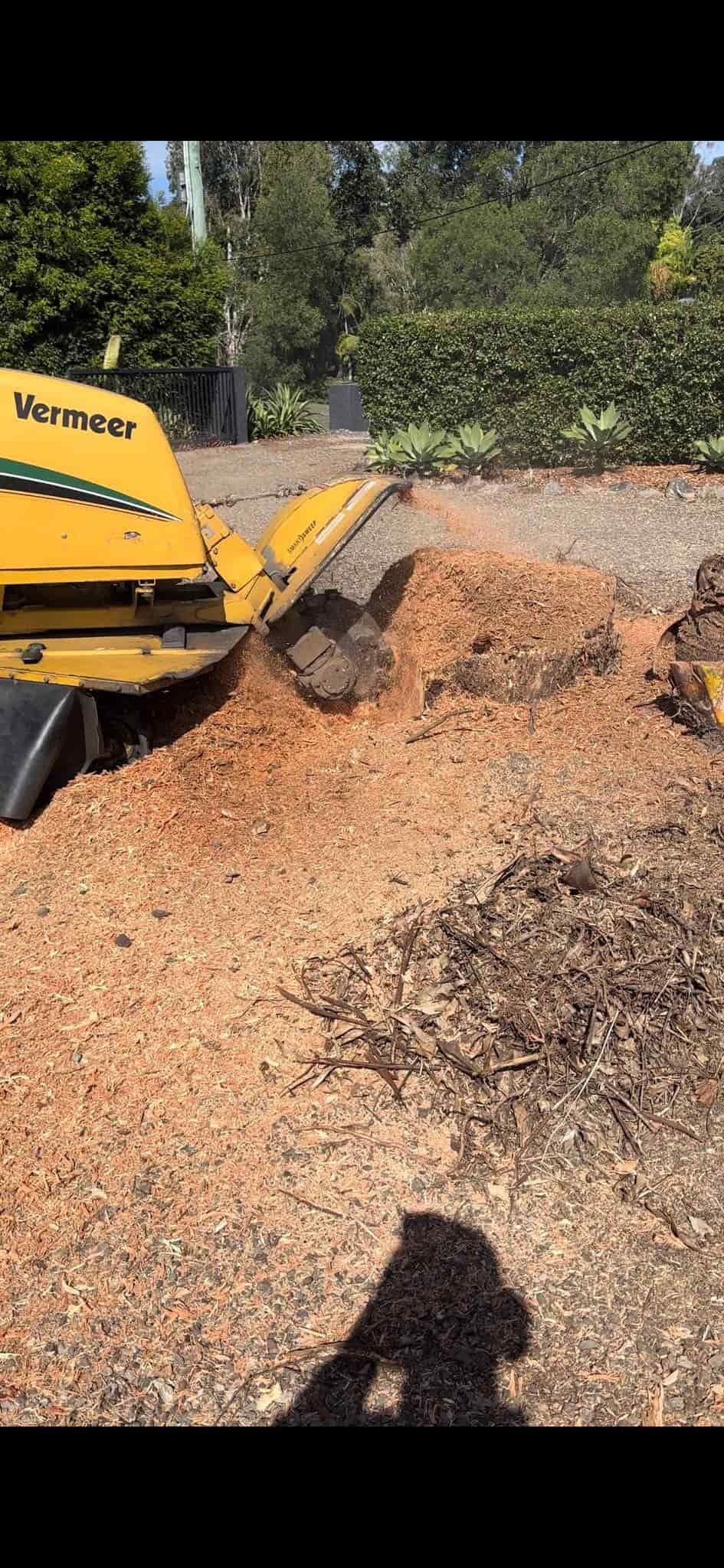 A Stump Grinder is Cutting a Tree Stump in a Yard — Hinterland Tree & Stump Removal in Palmview, QLD