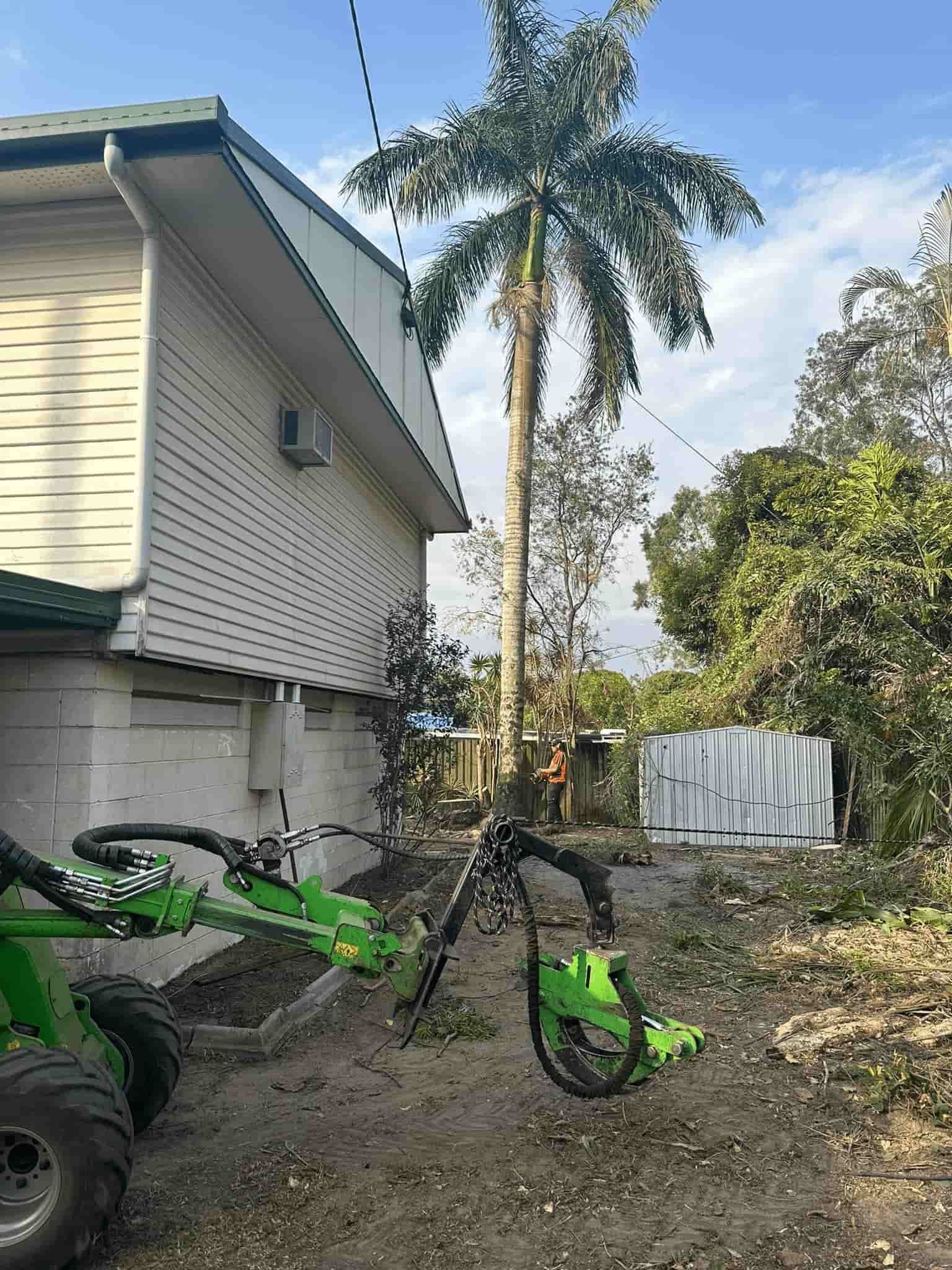 A Green Tractor is Parked in Front of a House Next to a Palm Tree — Hinterland Tree & Stump Removal in Kawana, QLD