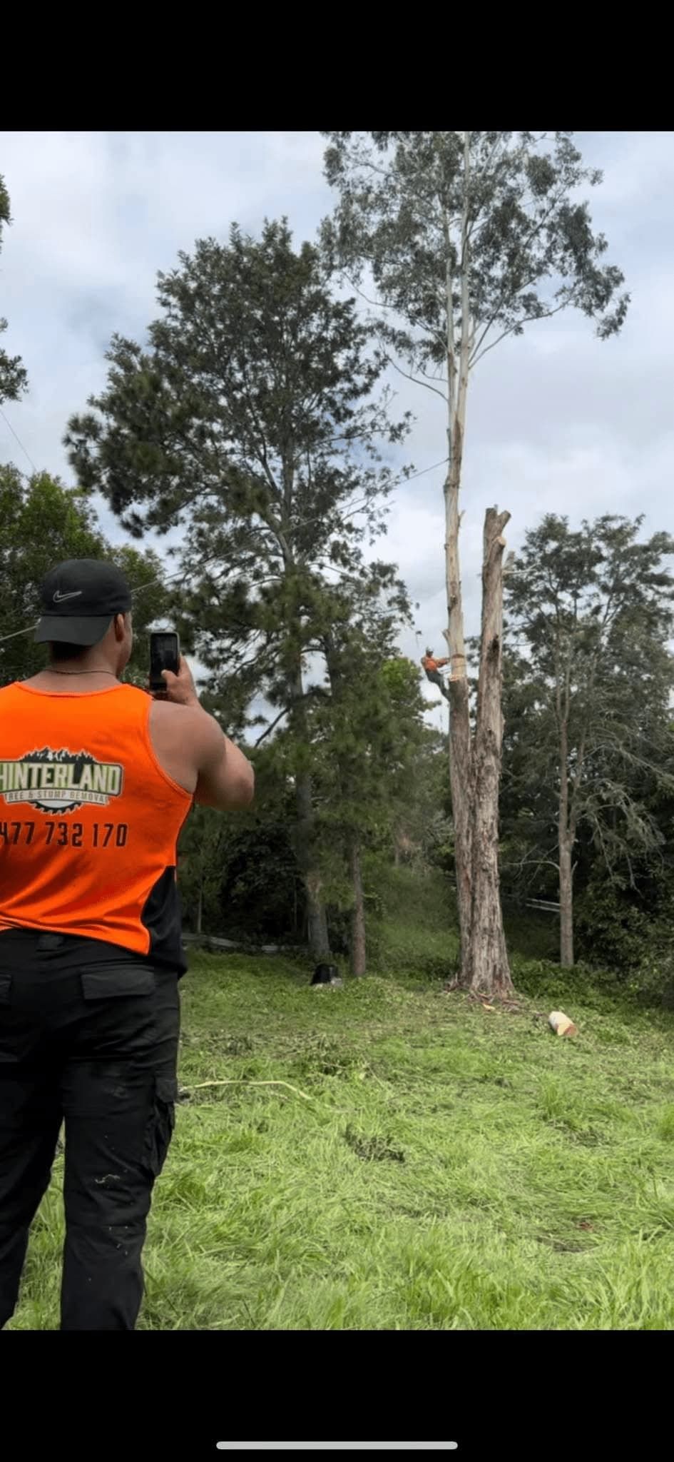 A Man is Standing in a Field Taking a Picture of a Tree — Hinterland Tree & Stump Removal in Coolum, QLD