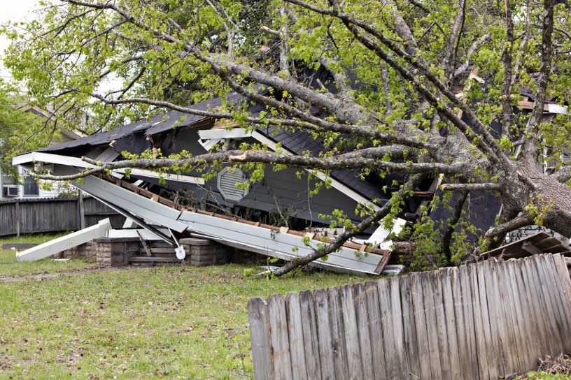 A House that Has Been Damaged by A Storm with A Tree Fallen on It — Hinterland Tree & Stump Removal in Montville, QLD