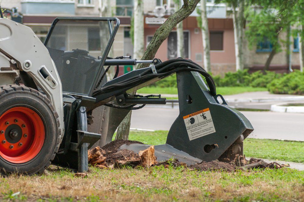 A Tractor Is Cutting a Tree Stump in The Ground — Hinterland Tree & Stump Removal in Maroochydore, QLD