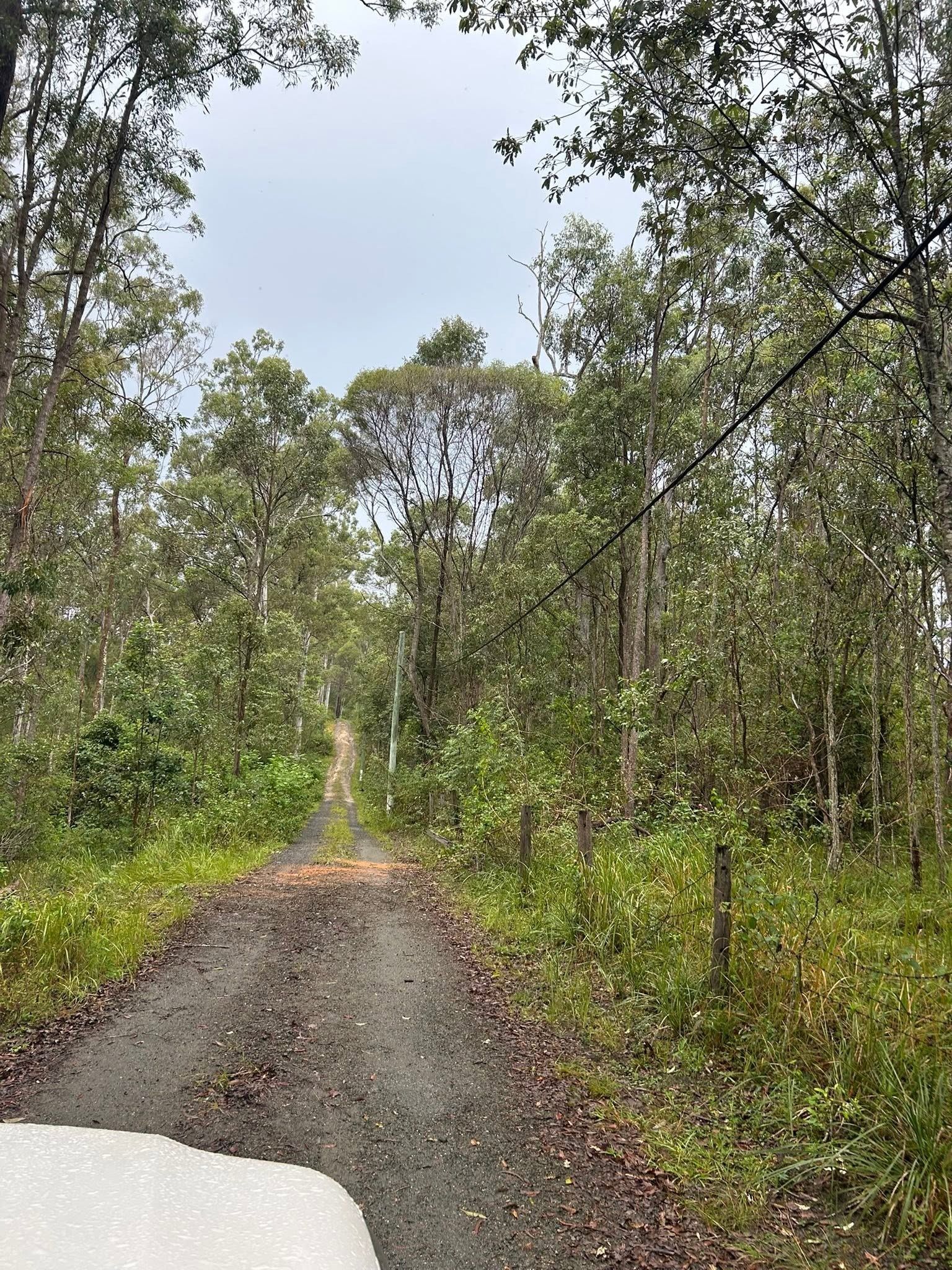Trail with Trees on the Sunshine Coast