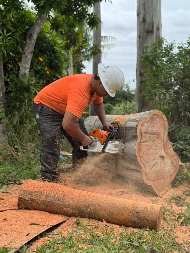Worker in orange shirt and hard hat cuts a log with a chainsaw outdoors, sawdust flying.