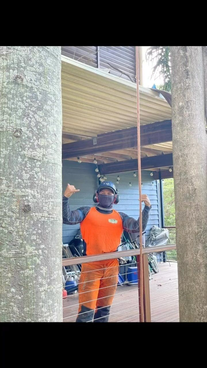 A Man Wearing a Mask and Headphones Is Standing Next to A Tree — Hinterland Tree & Stump Removal in Palmview, QLD