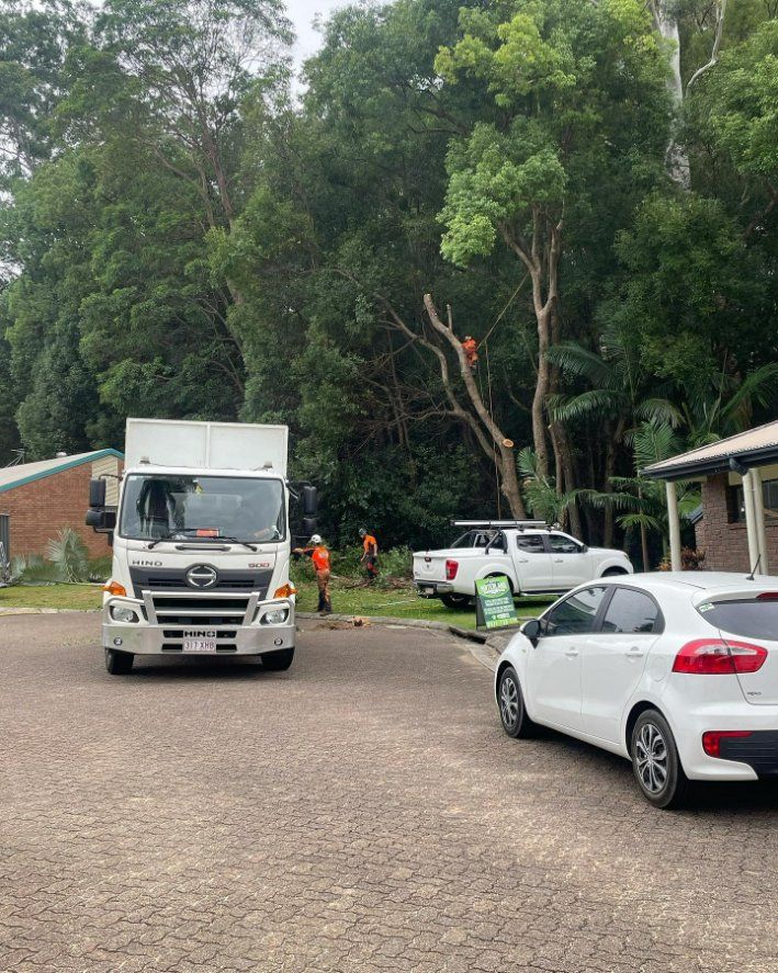 A White Truck Is Parked in A Parking Lot Next to A White Car — Hinterland Tree & Stump Removal in Maleny, QLD