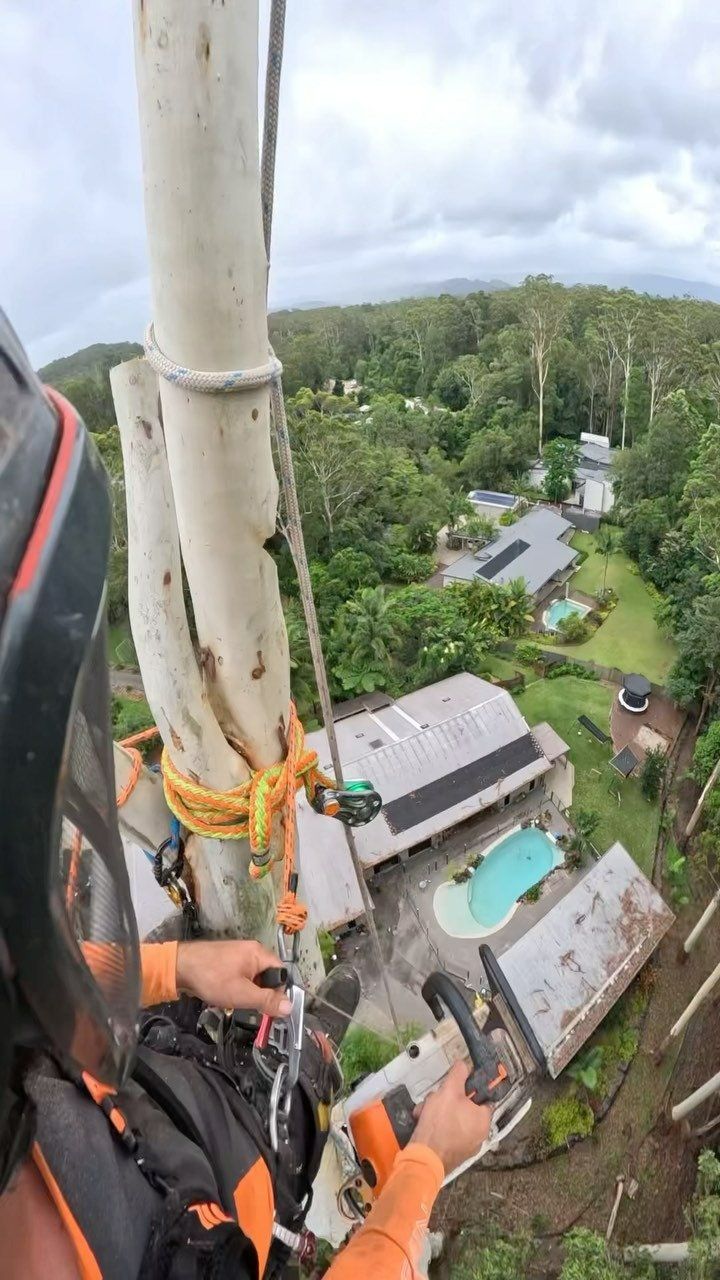 A Person Is Standing on Top of A Pole Looking Down at A House — Hinterland Tree & Stump Removal in Palmview, QLD