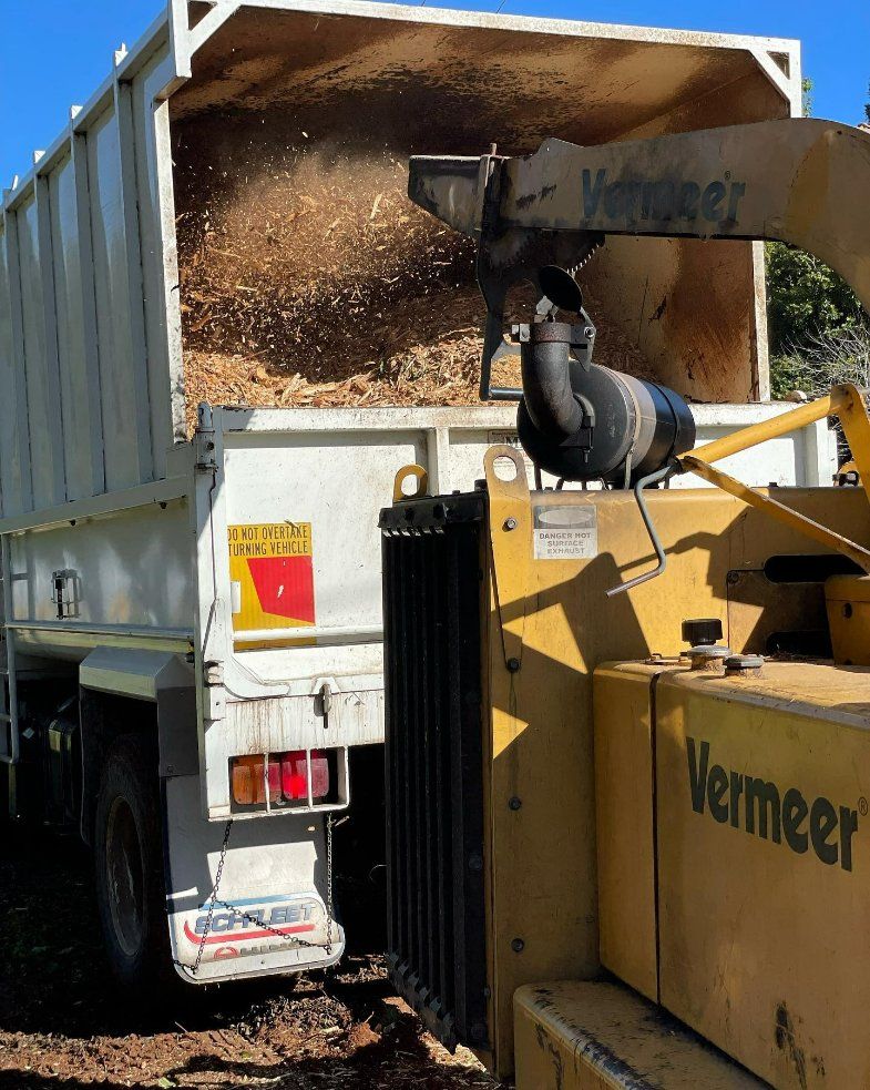 A Vermeer Truck Is Being Loaded with Wood Chips — Hinterland Tree & Stump Removal in Palmview, QLD