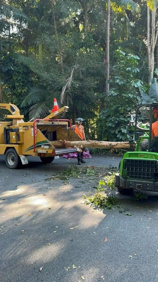 A Tree Is Being Cut Down by A Machine on The Side of The Road — Hinterland Tree & Stump Removal in Palmview, QLD