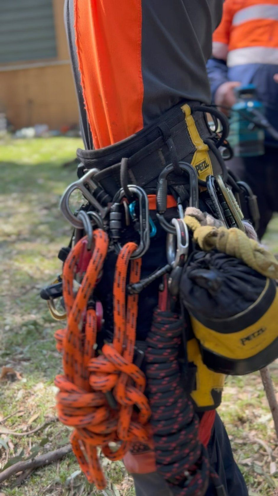 A Person Is Wearing a Harness with Ropes and Carabiners Attached to It — Hinterland Tree & Stump Removal in Palmview, QLD