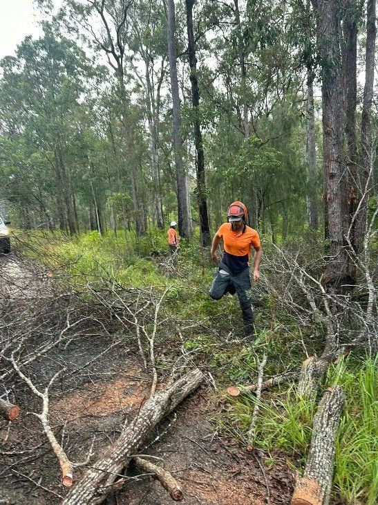 A Man Is Walking Through a Forest with A Chainsaw — Hinterland Tree & Stump Removal in Bli Bli, QLD
