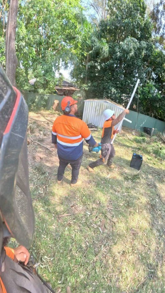 A Group of People Are Standing in A Grassy Field — Hinterland Tree & Stump Removal in Palmview, QLD