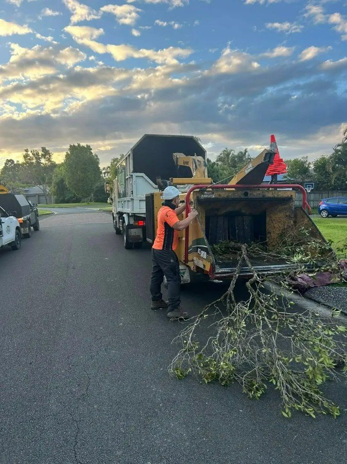 A Man Is Standing Next to A Tree Chipper on The Side of The Road — Hinterland Tree & Stump Removal in Mudjimba, QLD