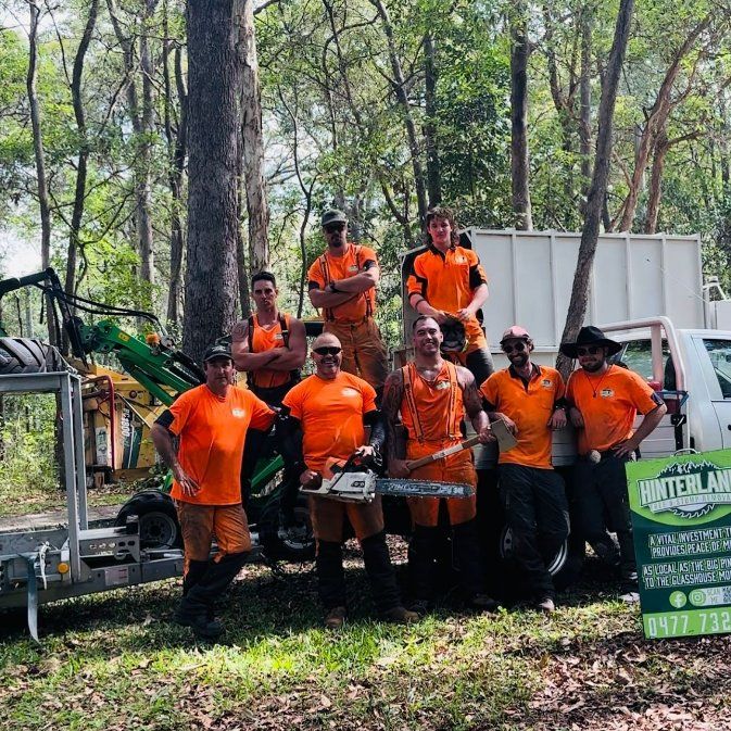 A Group of Men in Orange Shirts Are Posing for A Picture in The Woods — Hinterland Tree & Stump Removal in Palmview, QLD