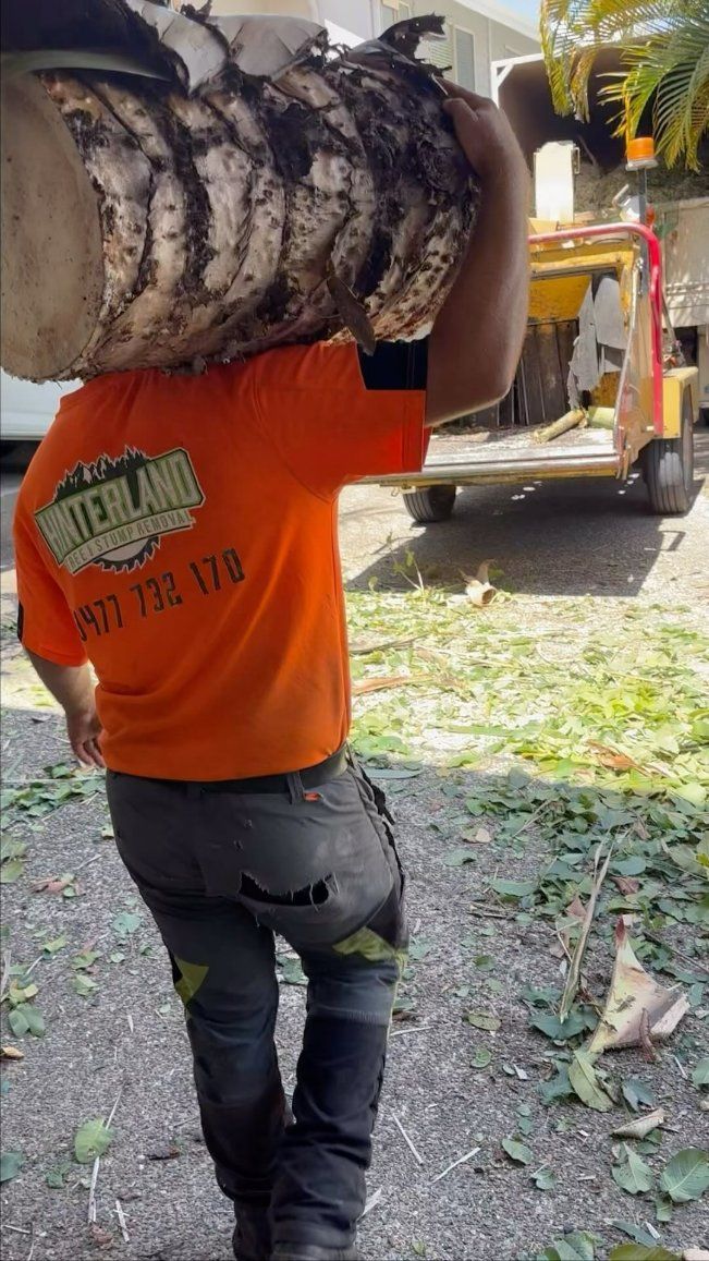 A Man Is Carrying a Large Log on His Shoulder — Hinterland Tree & Stump Removal in Palmview, QLD