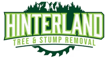 Arborist on the Sunshine Coast Arborist on the Sunshine Coast