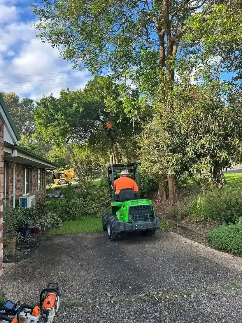 A Man is Riding a Lawn Mower in a Driveway Next to a House — Hinterland Tree & Stump Removal in Palmview, QLD