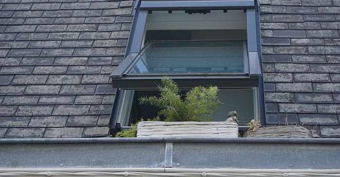 A window on the roof of a building with a plant growing out of it.