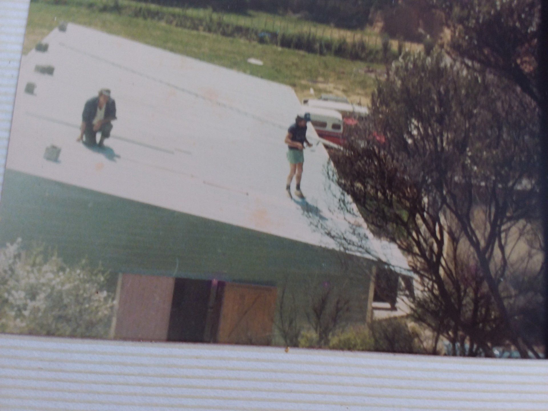 Roof Painting