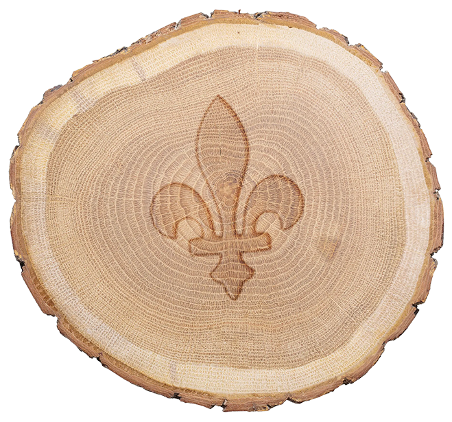Wooden slice with a carved fleur-de-lis emblem in the center