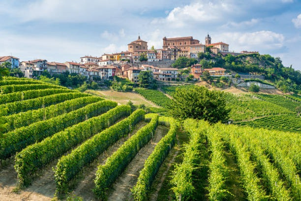 Alba e le Langhe del tartufo bianco e di grandi vini, viaggio luxury Italy First Class