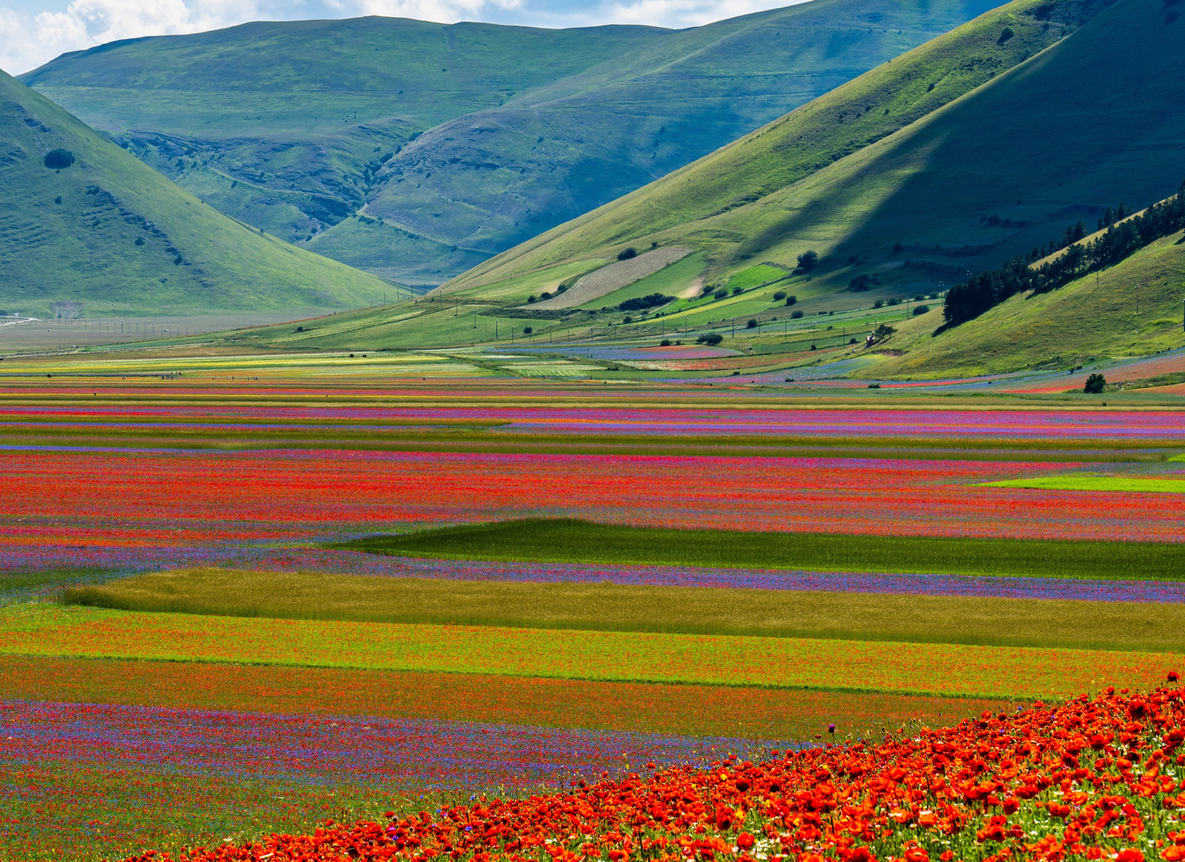 Val d'Orcia patrimonio UNESCO, viaggio fotografico esclusivo in Toscana