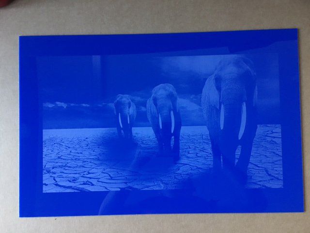 A picture of three elephants on a blue background