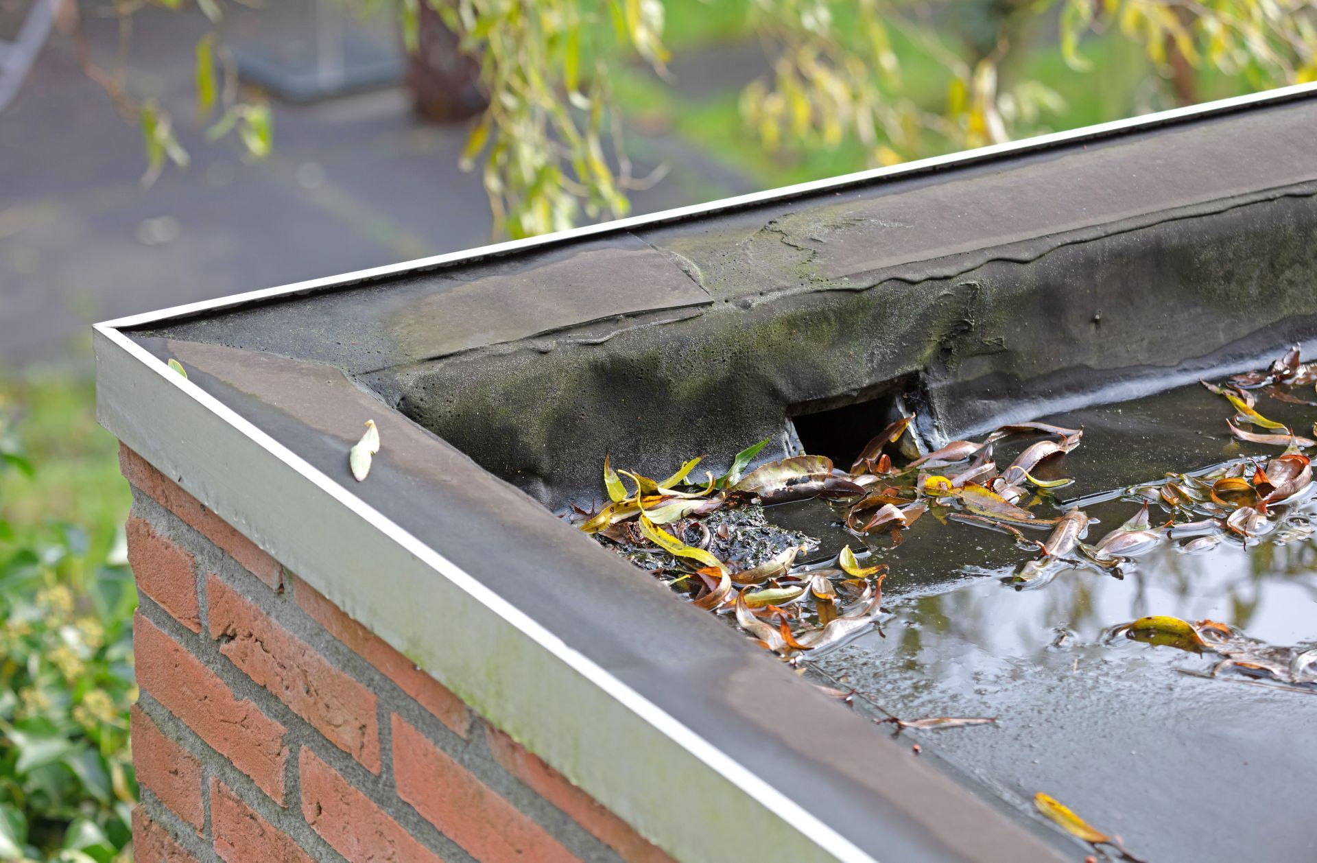 Toit plat avec eau stagnante, feuilles et drain bouché, entouré de briques et de garnitures métalliques.