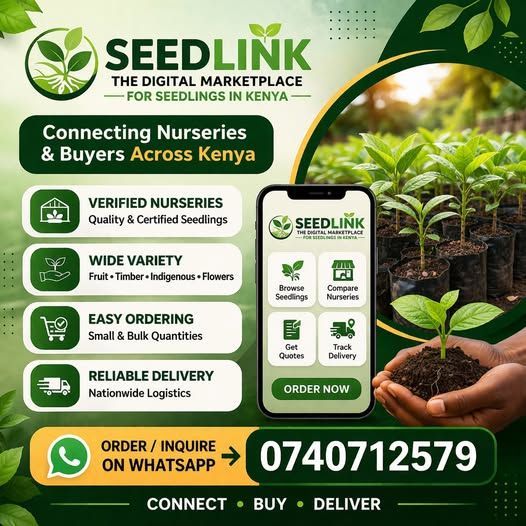Seedlink nursery marketplace ad with seedlings, features, and WhatsApp order number on green background
